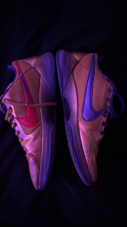 Kobe 5 protro hall of fames