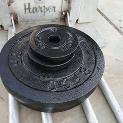 Weights Steel Plates 55lbs 