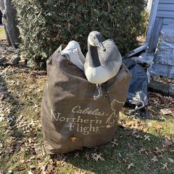 goose decoys
