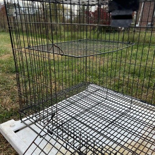 Rabbit Cage