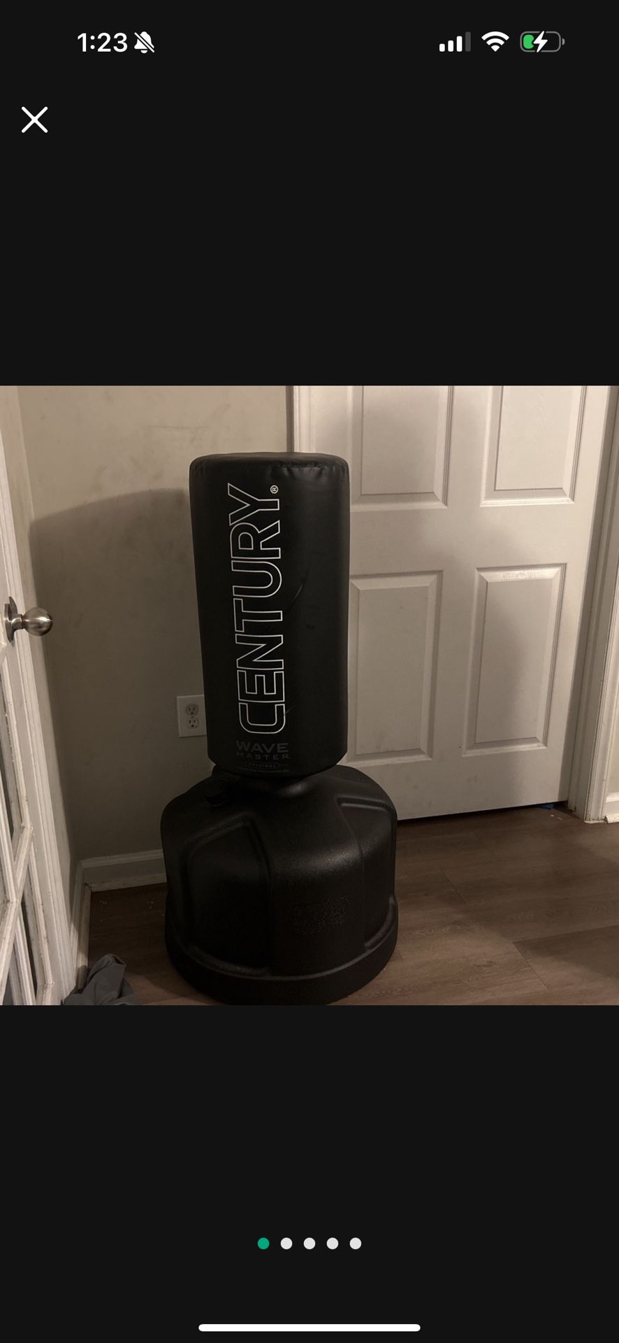 Century Punching Bag