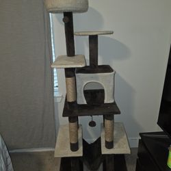 Cat Stuff