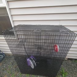 Sugar Glider/ Animal Cage