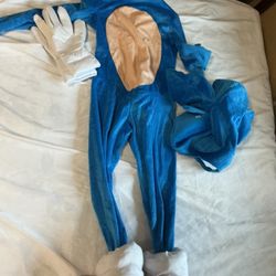 Kids Sonic the Hedgehog Costume