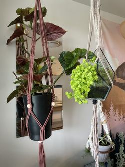 Terrarium And Hanger