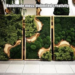 🌿 Decorative Preserved Moss – Natural Green 🌿