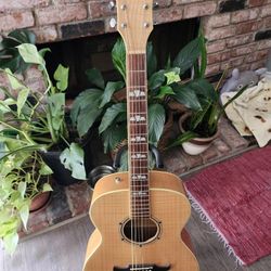 Fender Acoustic Guitar & Tonewood Amp Combo