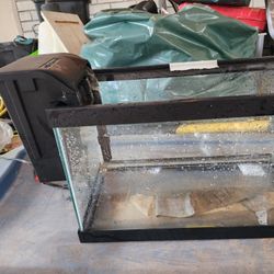 5 Gallon Fish Tank With Filter