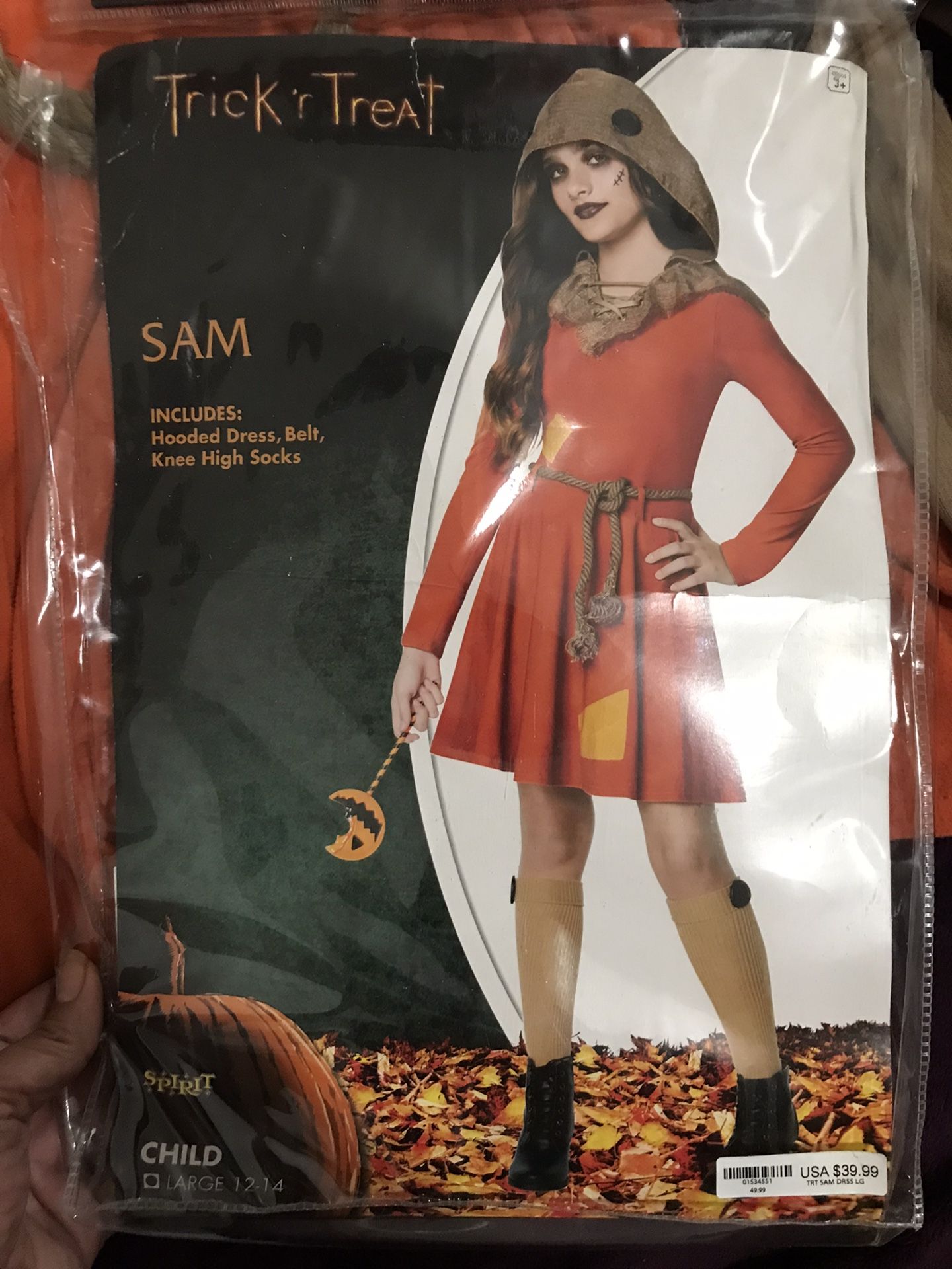 Sam costume 