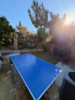 Ping Pong Table