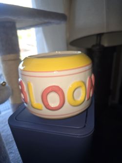 🧚‍♀️ NEW CERAMIC FLOWER POT