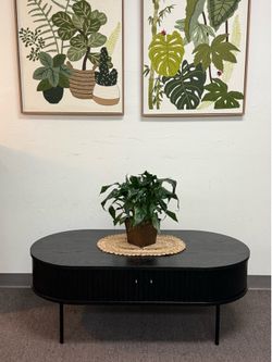 Coffee Table with Storage