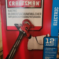 Blower/Vacuum/Mulcher