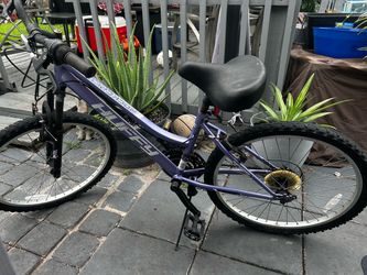 Huffy Mountain Bike Purple