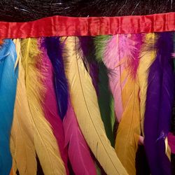 24 Inches  Dyed Hackle Feather Fringe Trim Dress Decoration 10-12inch in Width (Mixed Colorful