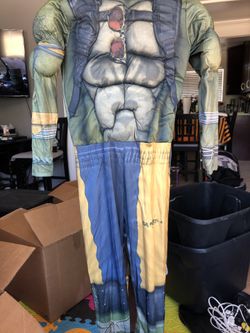 Ninja turtle costume