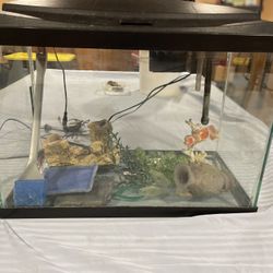 20 Gallon Aquarium