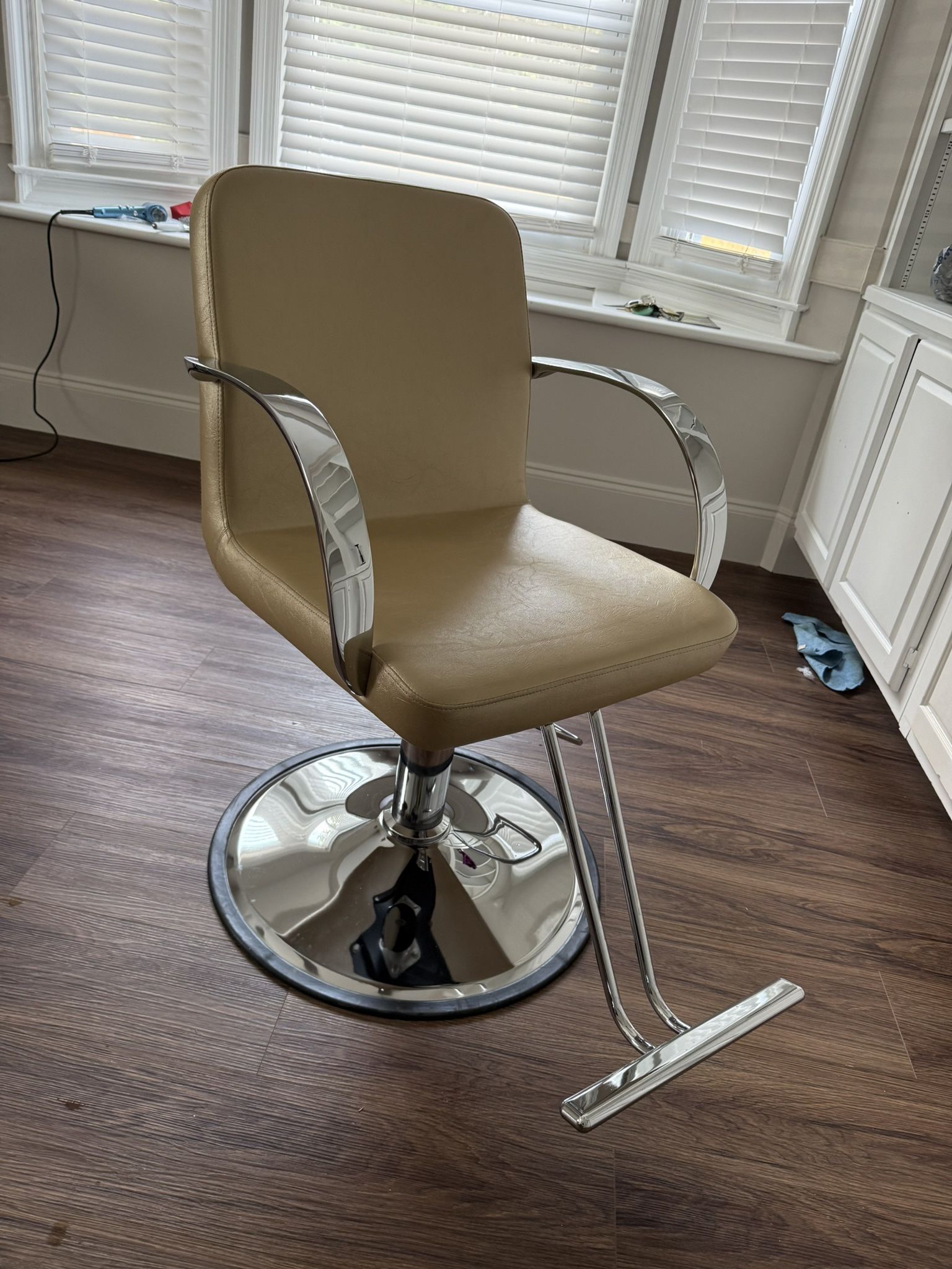 Salon Chair