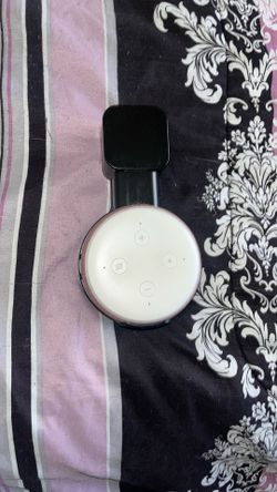 Pink Alexa (Comes with holder)