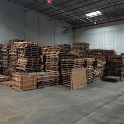 Pallets In Bulk