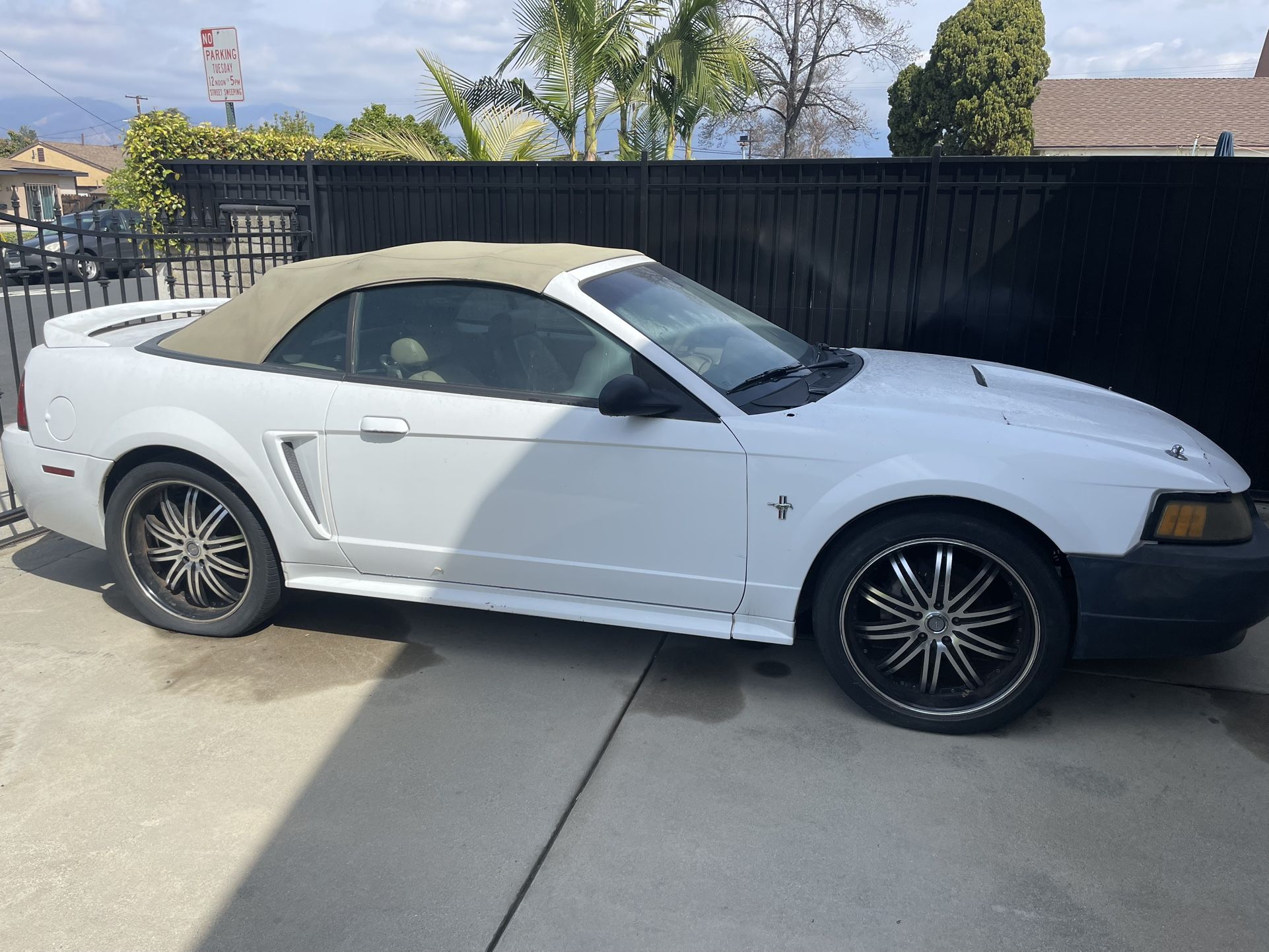 2000 Ford Mustang