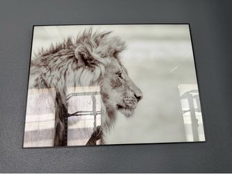 Lion Wall Art