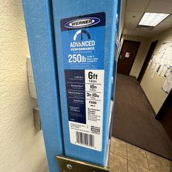 Werner 6’ Ladder 