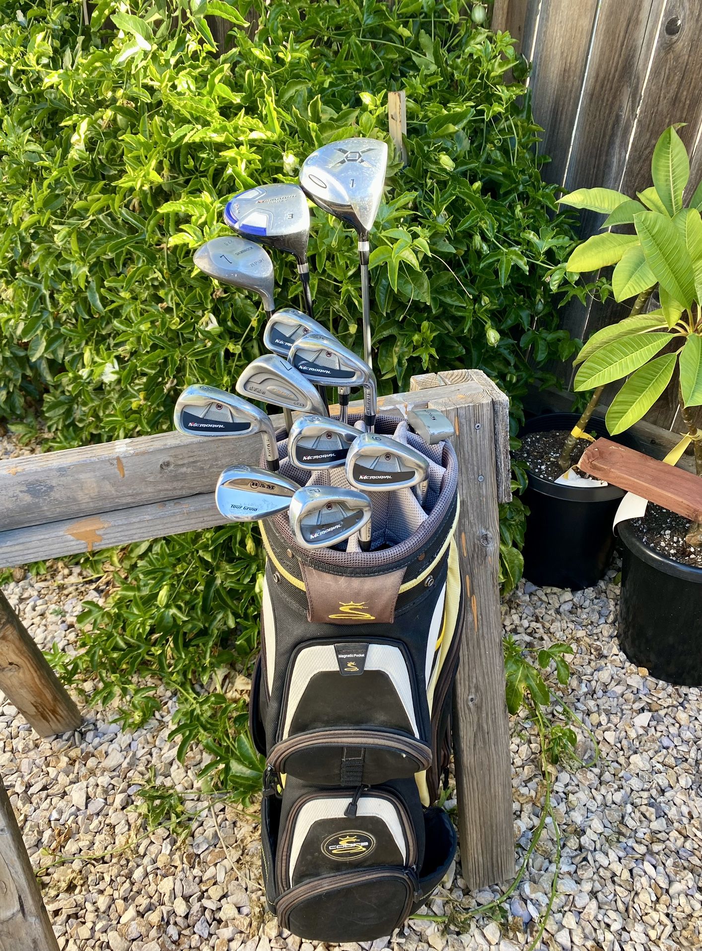 Golf Clubs Set