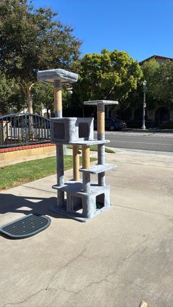 Cat  Tower