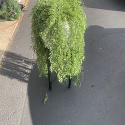 Fake Plants