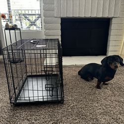 Doggy Crate.