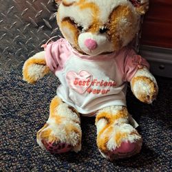 Build-A-Bear (S'more Bear)