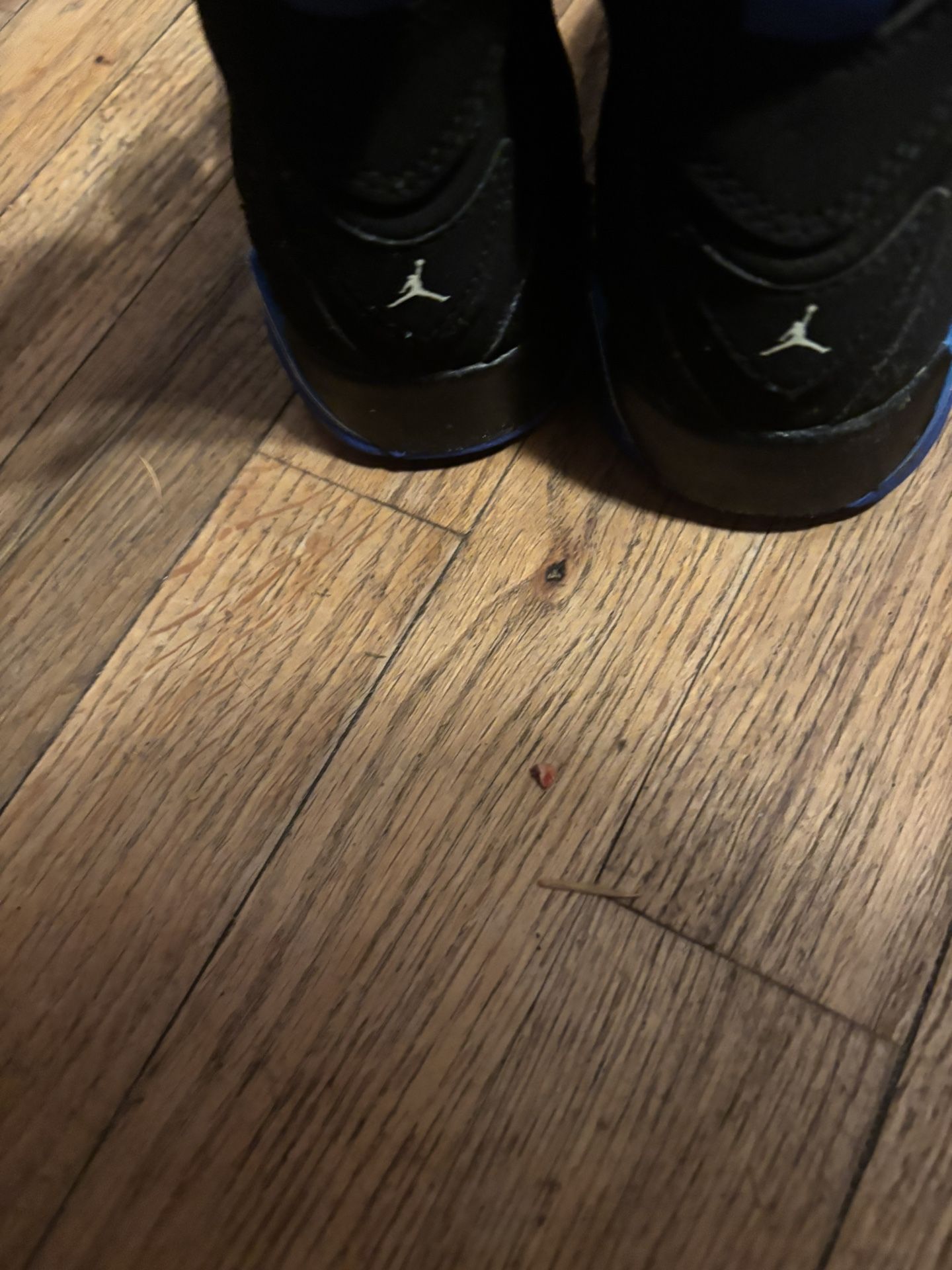 Jordan 7 True Flight