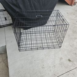 Dog Cage 