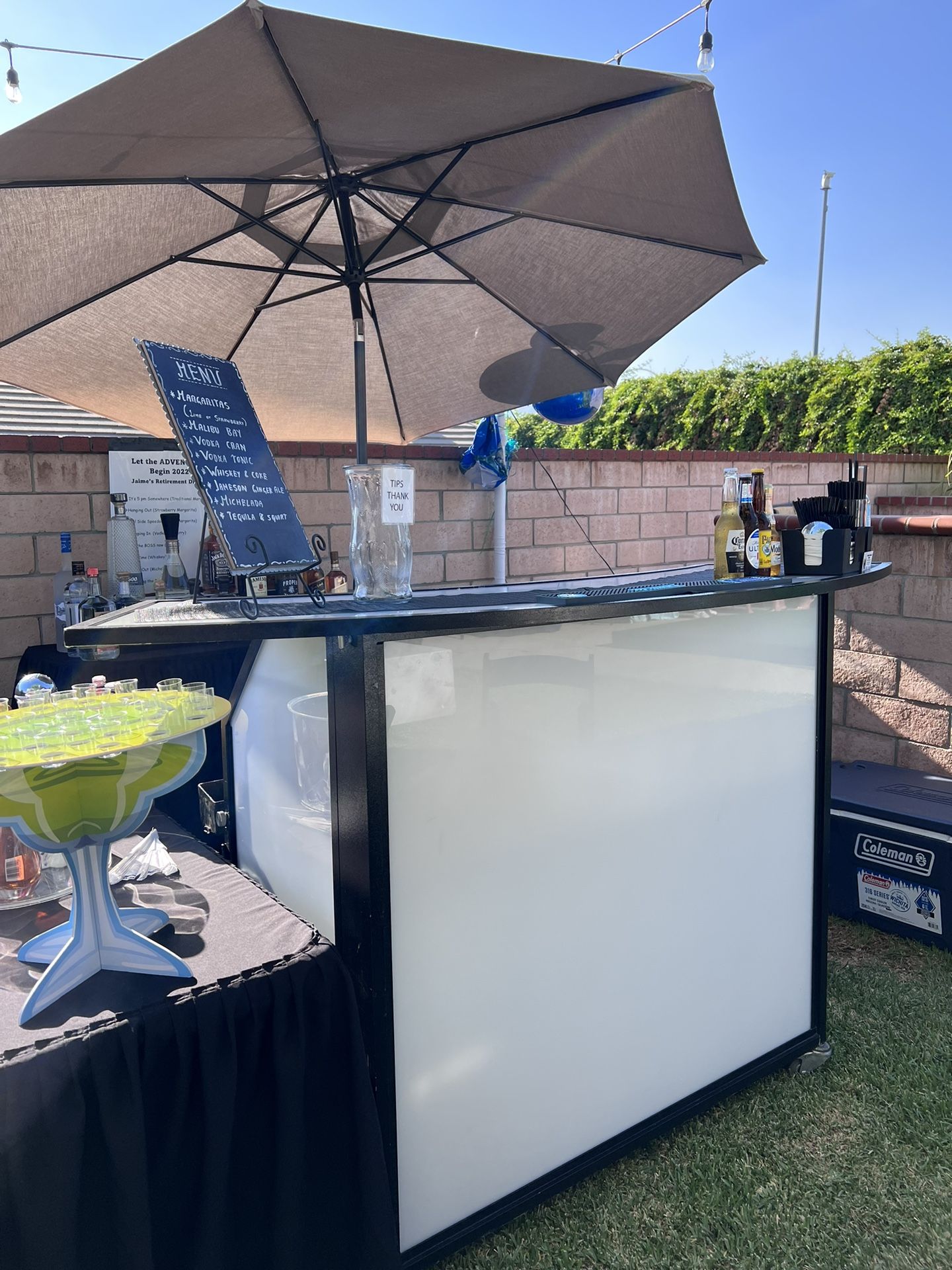 Experience Bartender