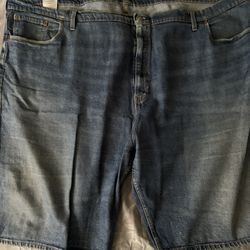 Levies Blue Shorts