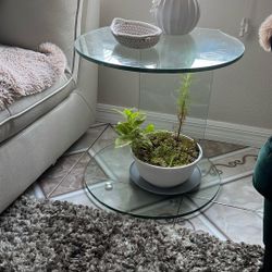 Glass Table 