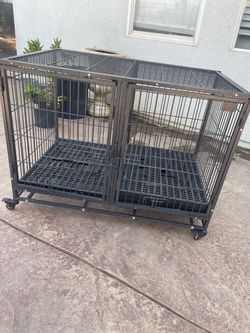 Kennel