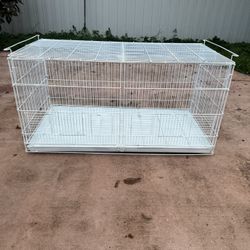 Large Bird 🐦 Cage