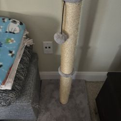 Cat scratching post