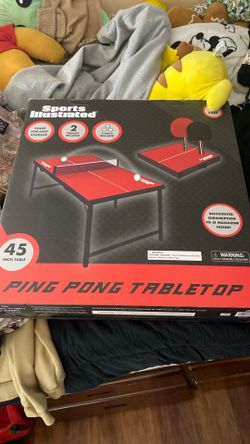 Ping Pong Table 