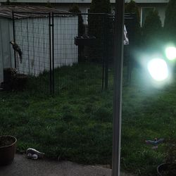 Kennel Panels 4 And A Gate Panel