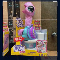 Little Live Pet Gotta Go Turdle