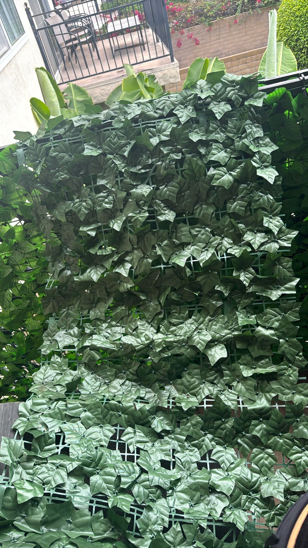 11 X 25 Ivy Privacy Screen