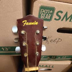 Fannin Guitar