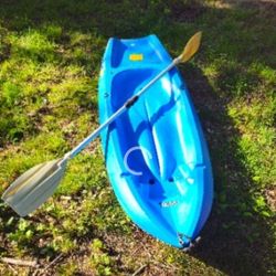 Price Is Firm.. Lifetime Kayak With Adjustable Paddle