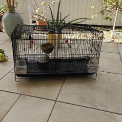 Jaula Negra Para Aves En Exelentes Condiciones. 