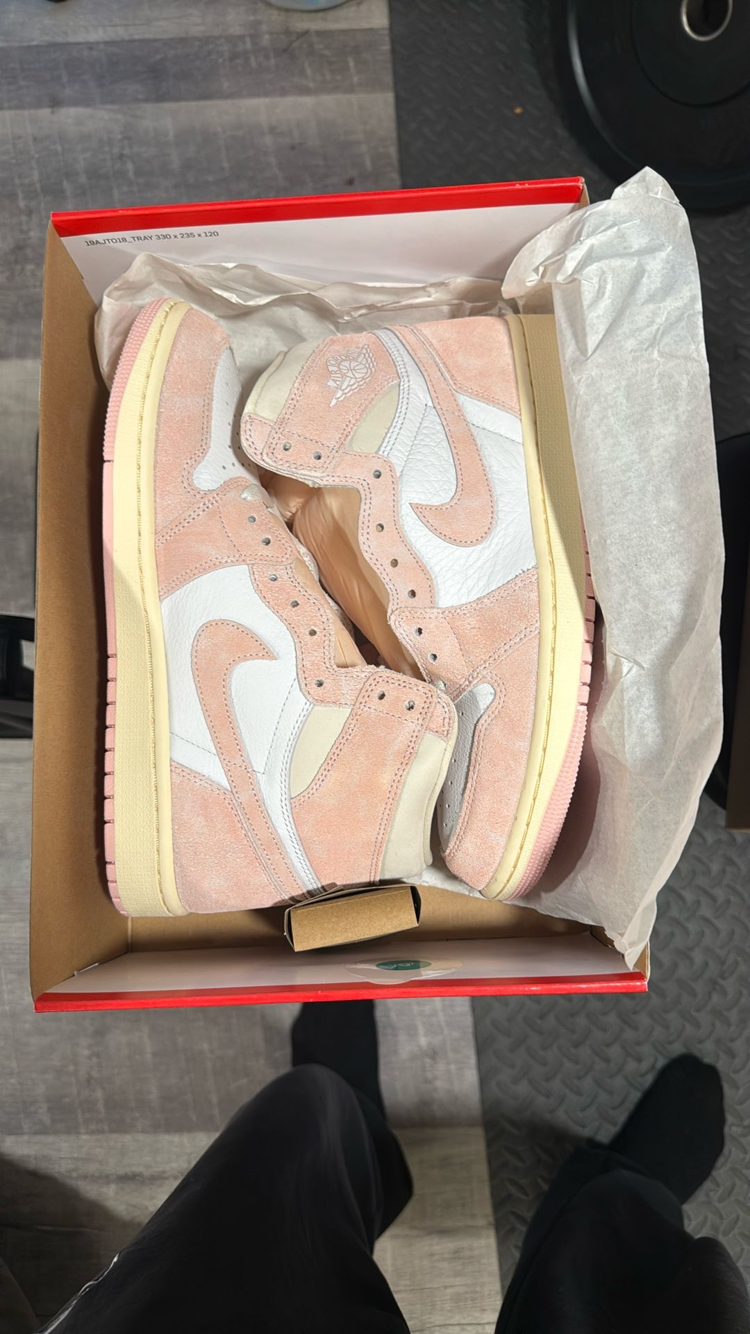 Washed Pink Jordan 1 High Shoes