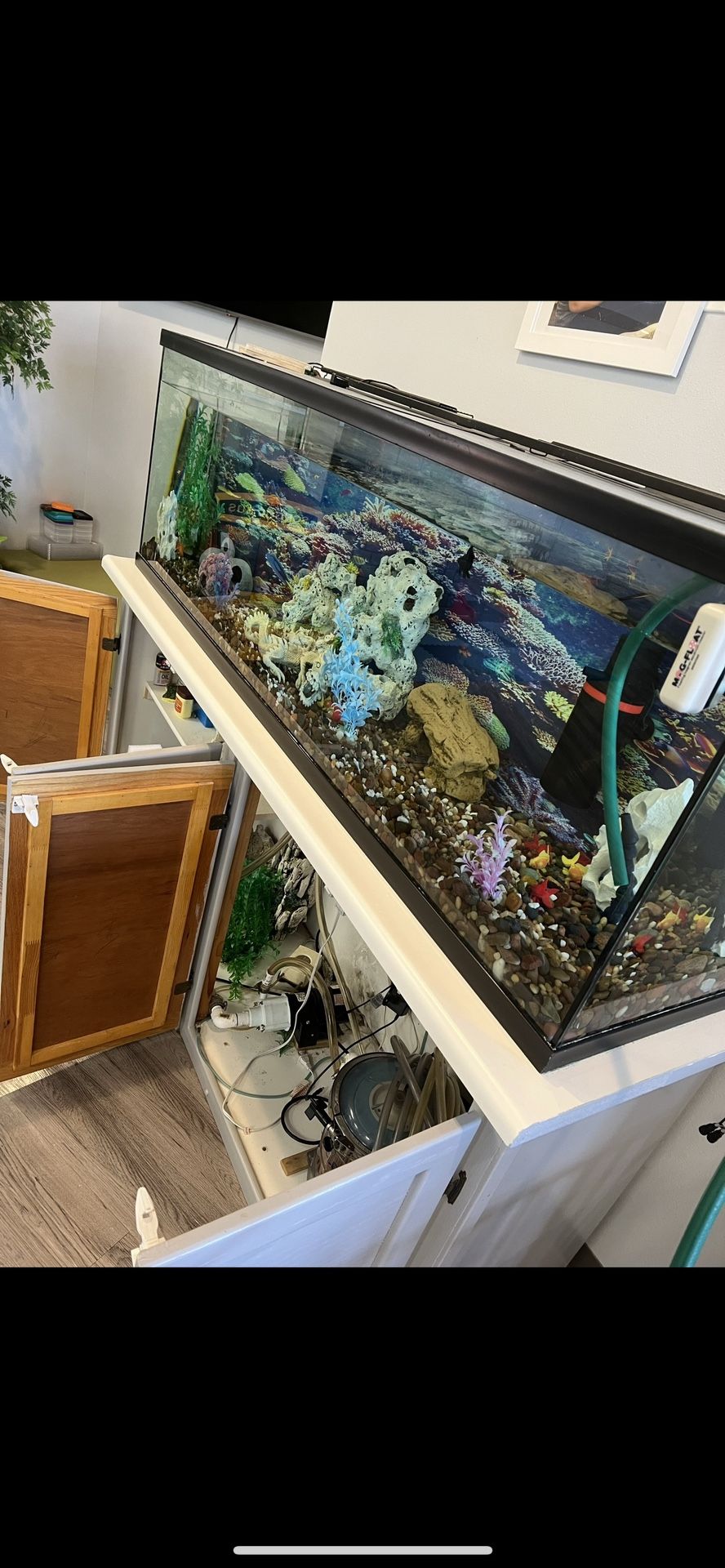 Fish Tank Kit
