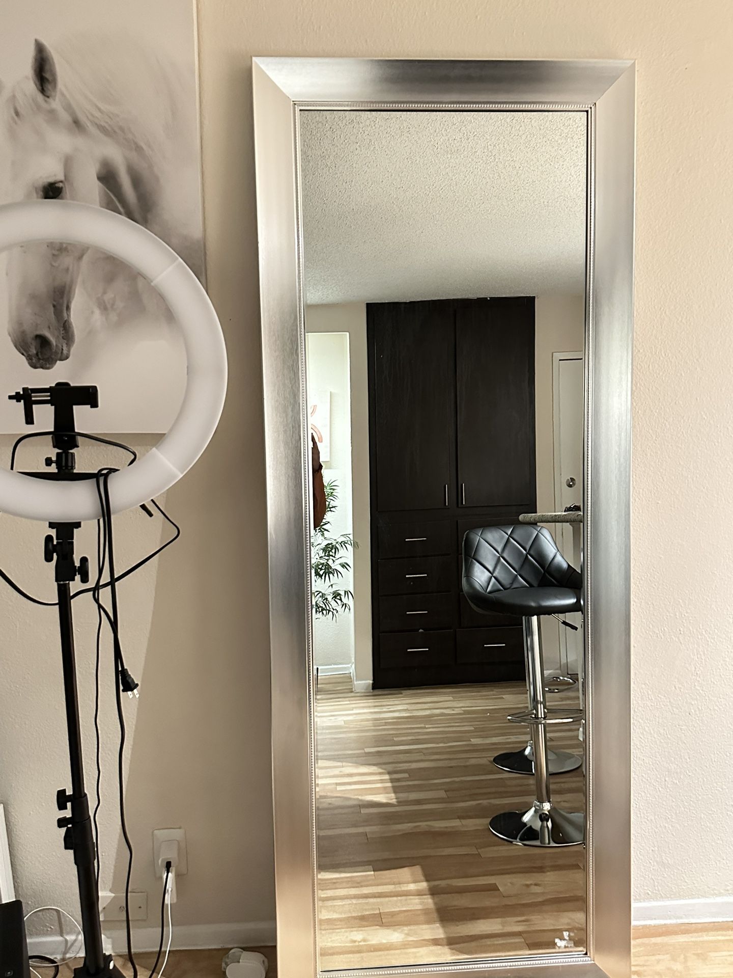 Large Mirror